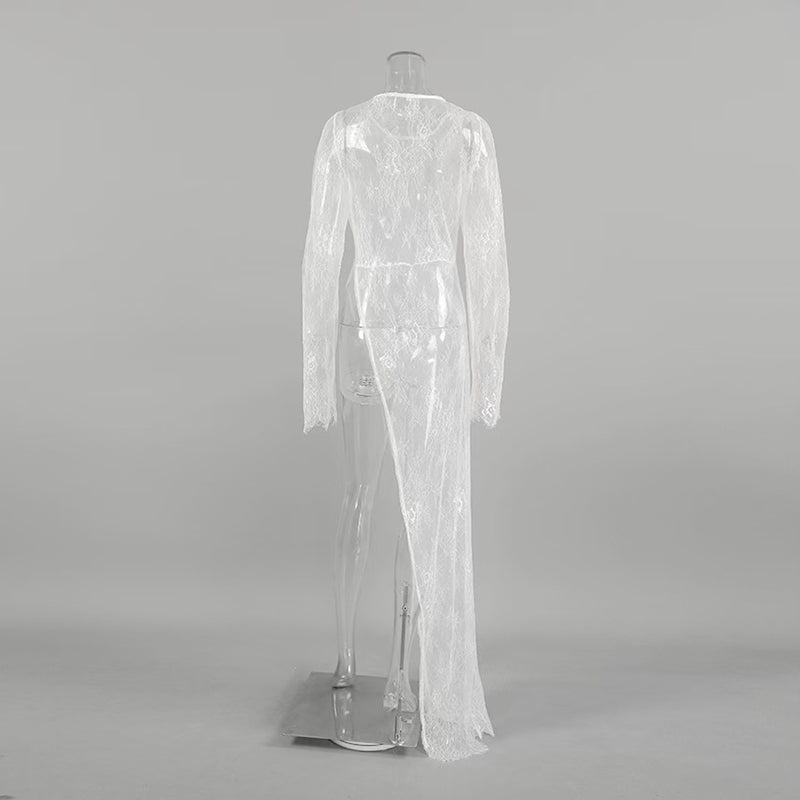 Elegance Unveiled Sheer Lace Patchwork Long Dress